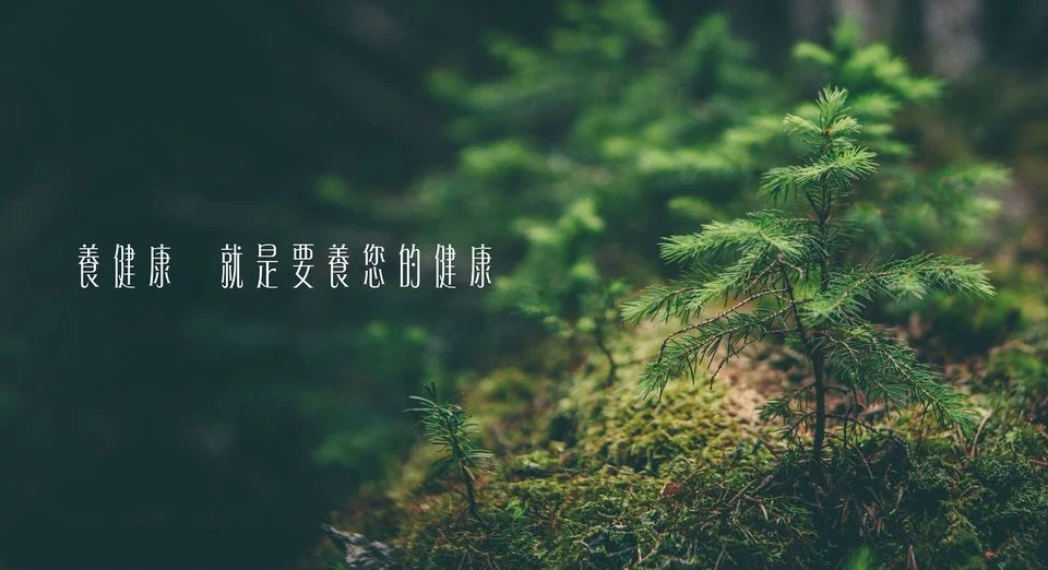 養健康介紹圖片 1
