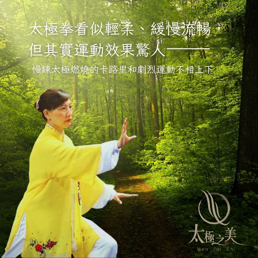 太極之美介紹圖片 5