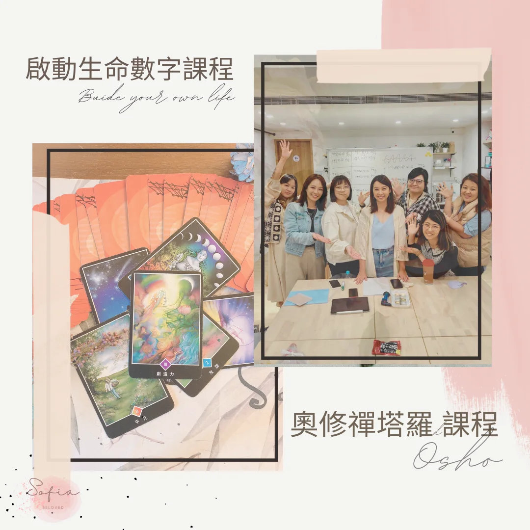 蘇菲夢想世界介紹圖片 2