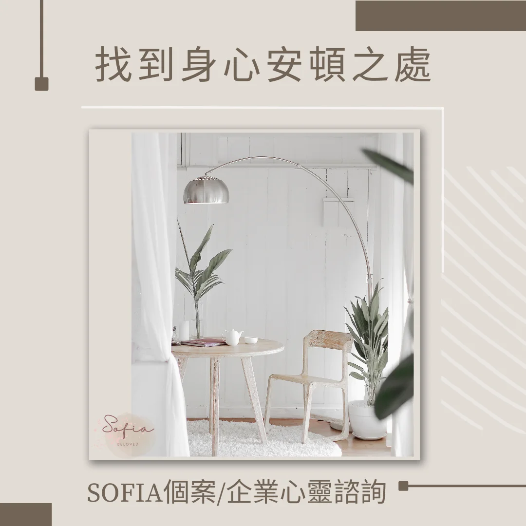 蘇菲夢想世界介紹圖片 4