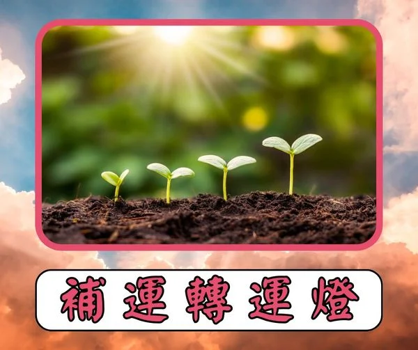 動感國際介紹圖片 2